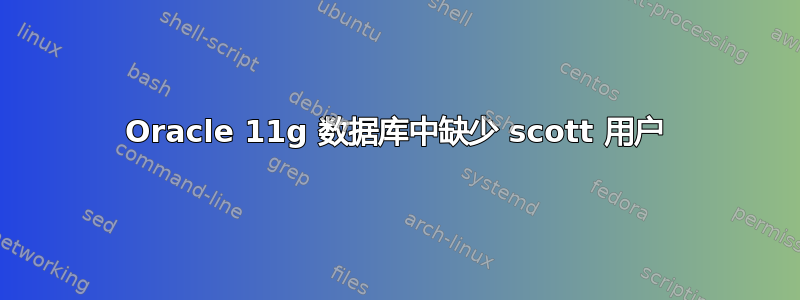 Oracle 11g 数据库中缺少 scott 用户