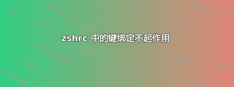 zshrc 中的键绑定不起作用