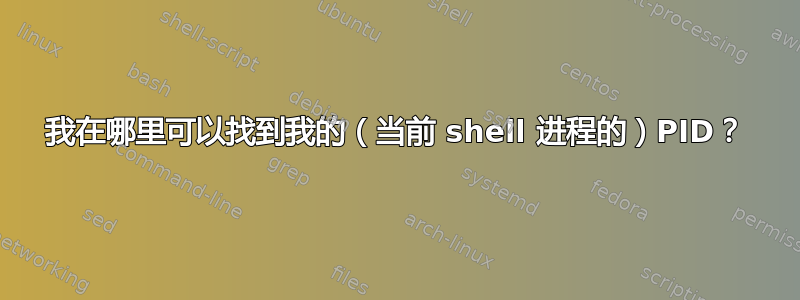 我在哪里可以找到我的（当前 shell 进程的）PID？