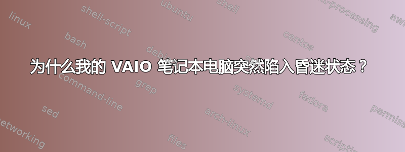 为什么我的 VAIO 笔记本电脑突然陷入昏迷状态？