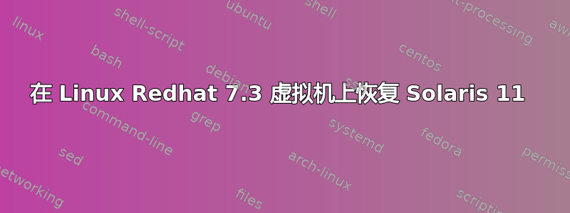 在 Linux Redhat 7.3 虚拟机上恢复 Solaris 11 