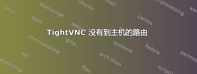 TightVNC 没有到主机的路由