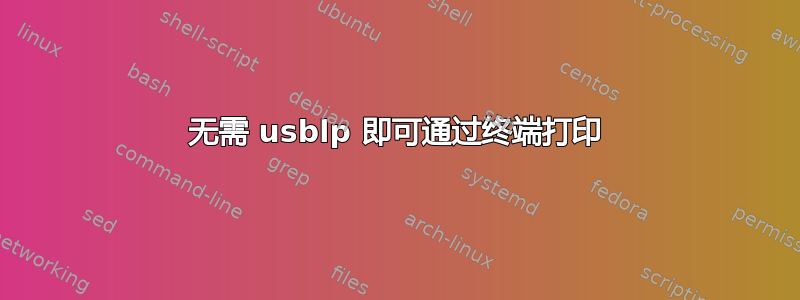 无需 usblp 即可通过终端打印