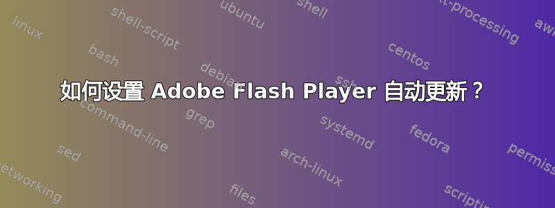 如何设置 Adob​​e Flash Player 自动更新？