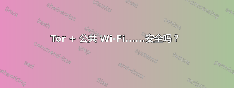 Tor + 公共 Wi-Fi......安全吗？