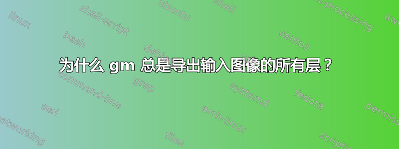 为什么 gm 总是导出输入图像的所有层？