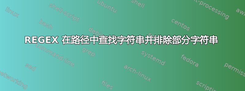 REGEX 在路径中查找字符串并排除部分字符串