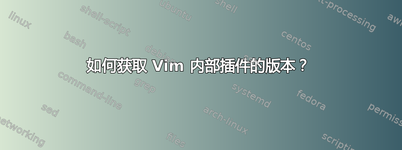 如何获取 Vim 内部插件的版本？