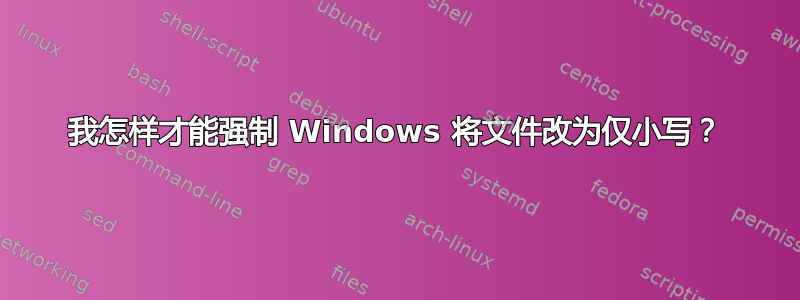 我怎样才能强制 Windows 将文件改为仅小写？