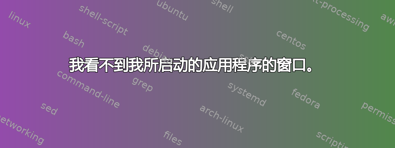 我看不到我所启动的应用程序的窗口。