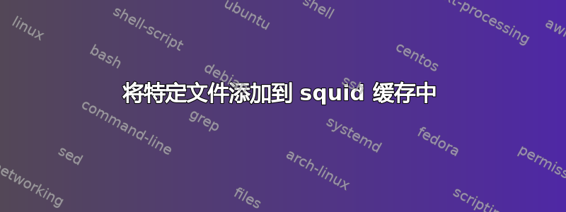 将特定文件添加到 squid 缓存中