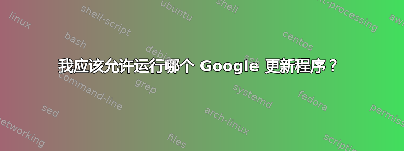 我应该允许运行哪个 Google 更新程序？