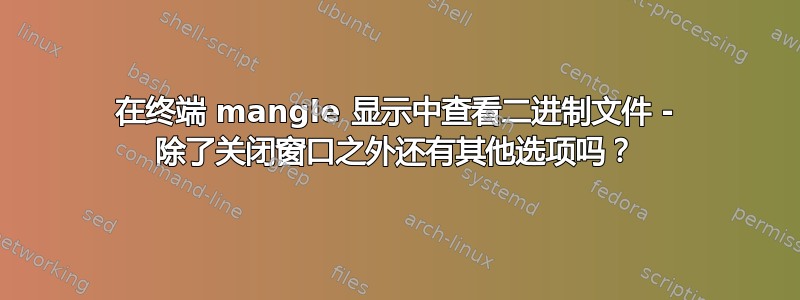 在终端 mangle 显示中查看二进制文件 - 除了关闭窗口之外还有其他选项吗？