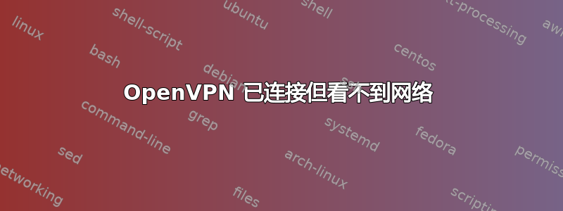 OpenVPN 已连接但看不到网络