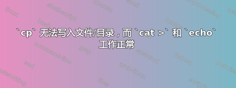 `cp` 无法写入文件/目录，而 `cat >` 和 `echo` 工作正常