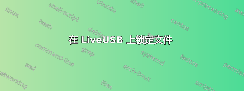 在 LiveUSB 上锁定文件