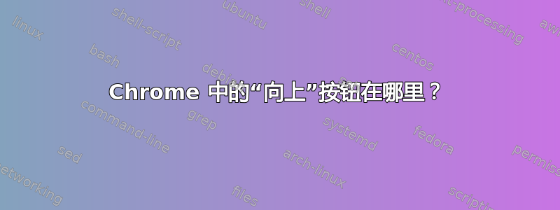 Chrome 中的“向上”按钮在哪里？