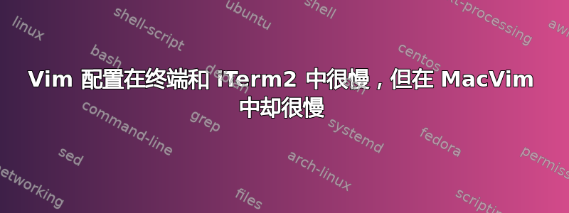 Vim 配置在终端和 iTerm2 中很慢，但在 MacVim 中却很慢