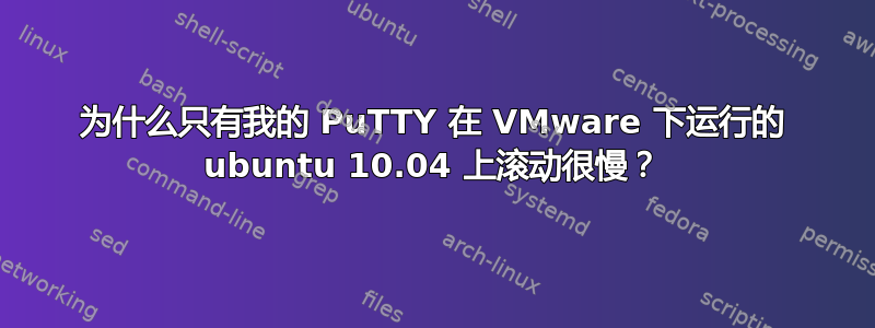 为什么只有我的 PuTTY 在 VMware 下运行的 ubuntu 10.04 上滚动很慢？