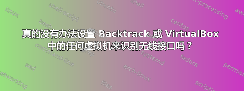 真的没有办法设置 Backtrack 或 VirtualBox 中的任何虚拟机来识别无线接口吗？