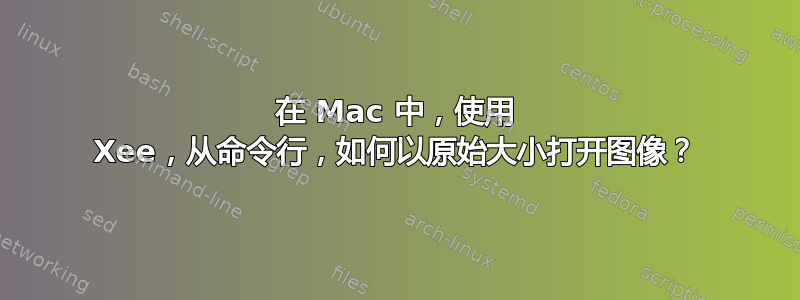 在 Mac 中，使用 Xee，从命令行，如何以原始大小打开图像？