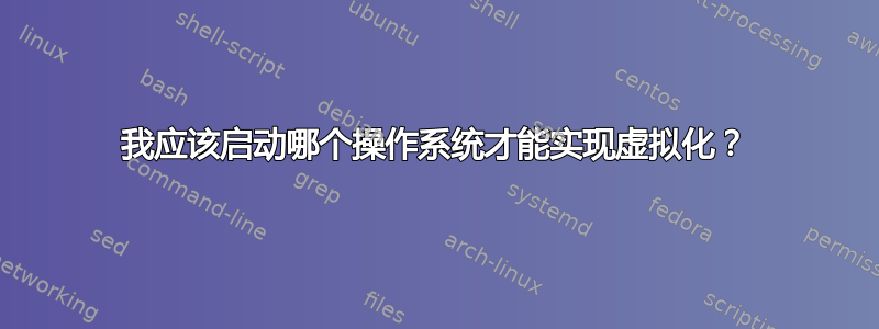 我应该启动哪个操作系统才能实现虚拟化？