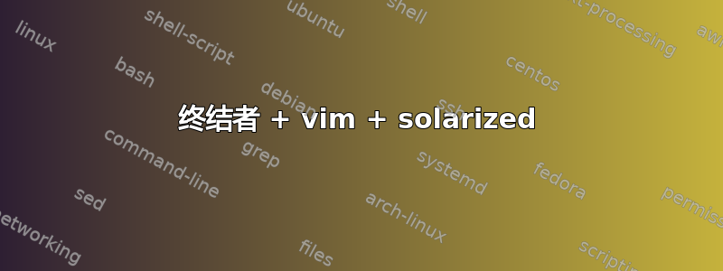 终结者 + vim + solarized