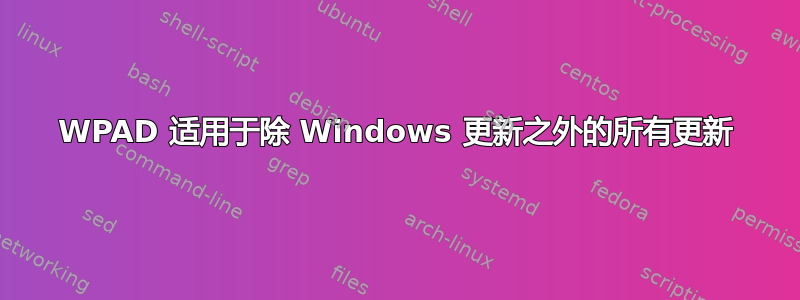 WPAD 适用于除 Windows 更新之外的所有更新