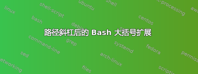 路径斜杠后的 Bash 大括号扩展