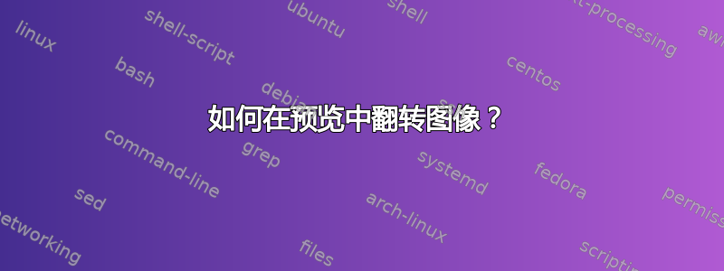 如何在预览中翻转图像？