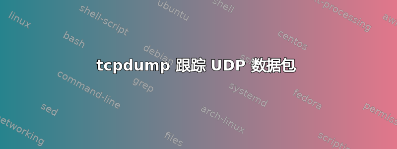 tcpdump 跟踪 UDP 数据包