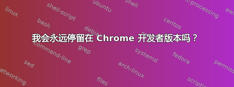 我会永远停留在 Chrome 开发者版本吗？