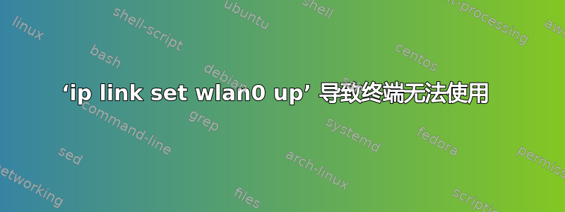 ‘ip link set wlan0 up’ 导致终端无法使用 