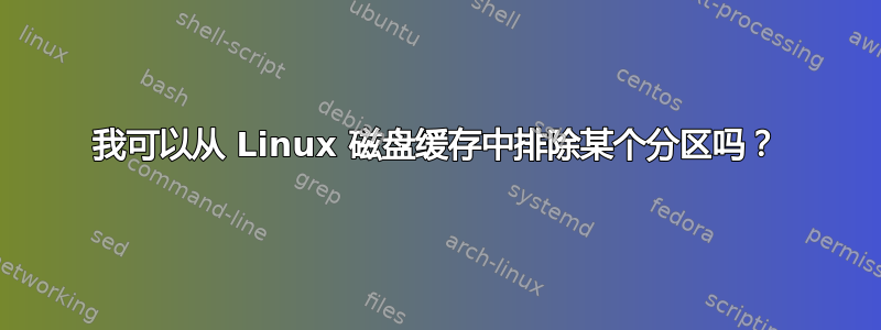 我可以从 Linux 磁盘缓存中排除某个分区吗？