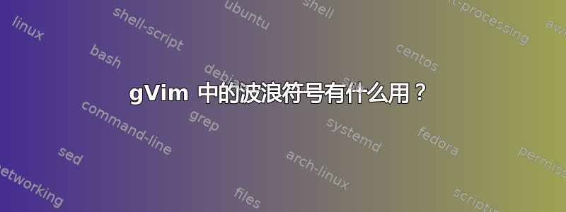 gVim 中的波浪符号有什么用？