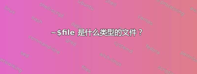 ~$file 是什么类型的文件？