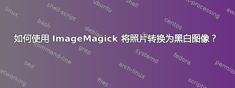 如何使用 ImageMagick 将照片转换为黑白图像？