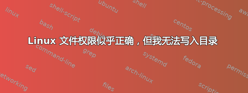 Linux 文件权限似乎正确，但我无法写入目录