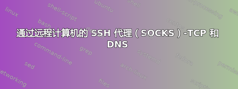 通过远程计算机的 SSH 代理（SOCKS）-TCP 和 DNS