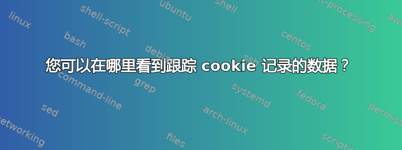 您可以在哪里看到跟踪 cookie 记录的数据？