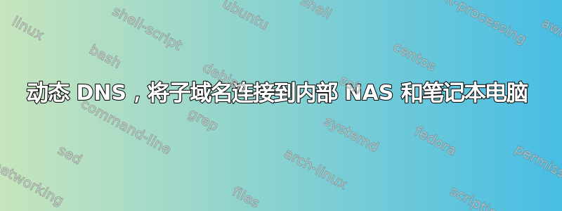 动态 DNS，将子域名连接到内部 NAS 和笔记本电脑