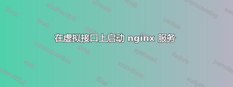 在虚拟接口上启动 nginx 服务