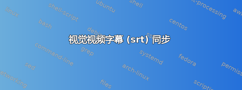 视觉视频字幕 (srt) 同步