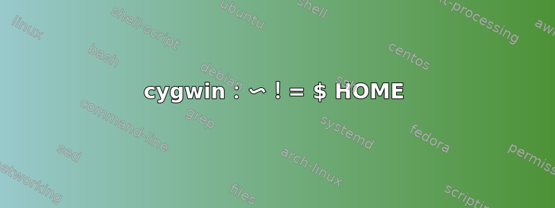 cygwin：〜！= $ HOME