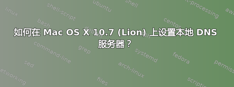 如何在 Mac OS X 10.7 (Lion) 上设置本地 DNS 服务器？