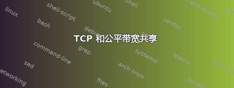 TCP 和公平带宽共享