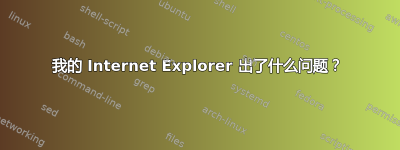 我的 Internet Explorer 出了什么问题？