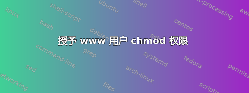 授予 www 用户 chmod 权限