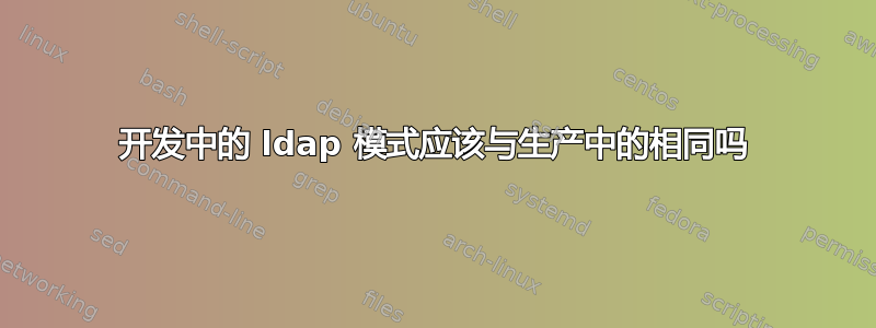 开发中的 ldap 模式应该与生产中的相同吗