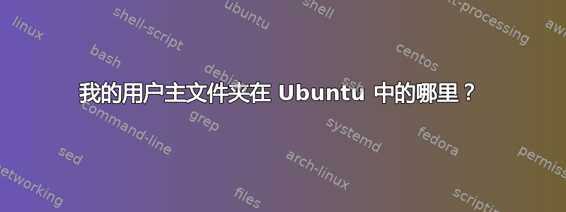 我的用户主文件夹在 Ubuntu 中的哪里？